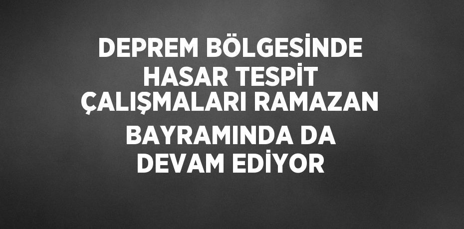 DEPREM BÖLGESİNDE HASAR TESPİT ÇALIŞMALARI RAMAZAN BAYRAMINDA DA DEVAM EDİYOR