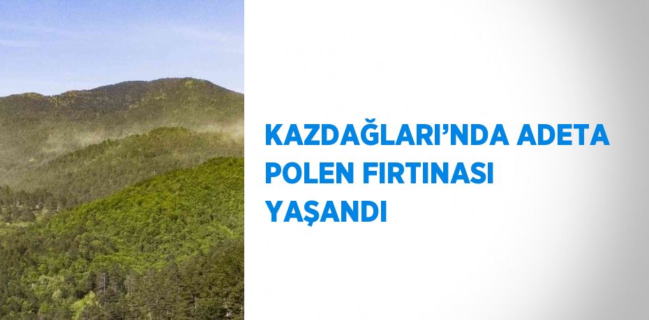 KAZDAĞLARI’NDA ADETA POLEN FIRTINASI YAŞANDI