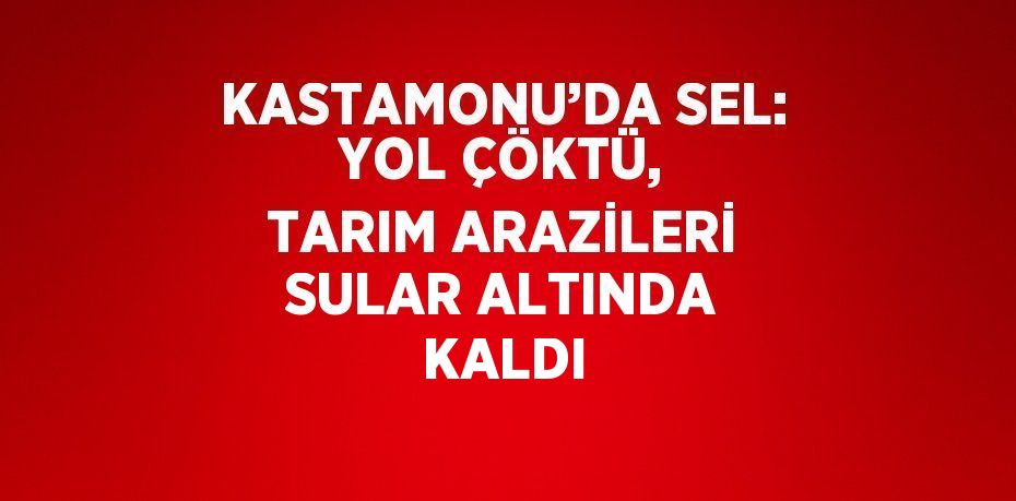 KASTAMONU’DA SEL: YOL ÇÖKTÜ, TARIM ARAZİLERİ SULAR ALTINDA KALDI