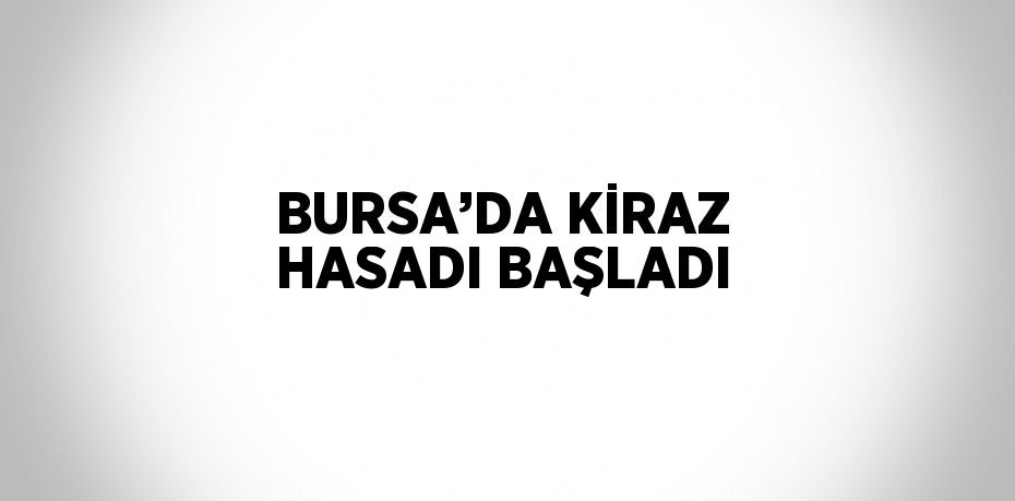 BURSA’DA KİRAZ HASADI BAŞLADI