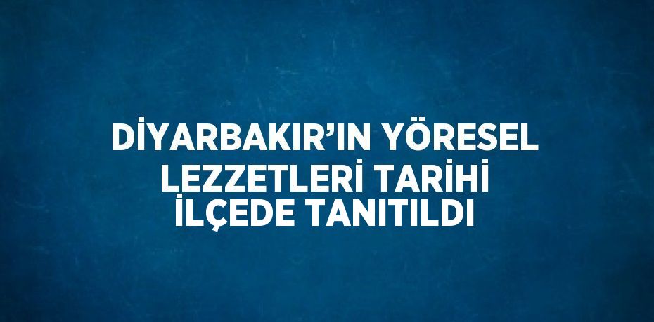 DİYARBAKIR’IN YÖRESEL LEZZETLERİ TARİHİ İLÇEDE TANITILDI