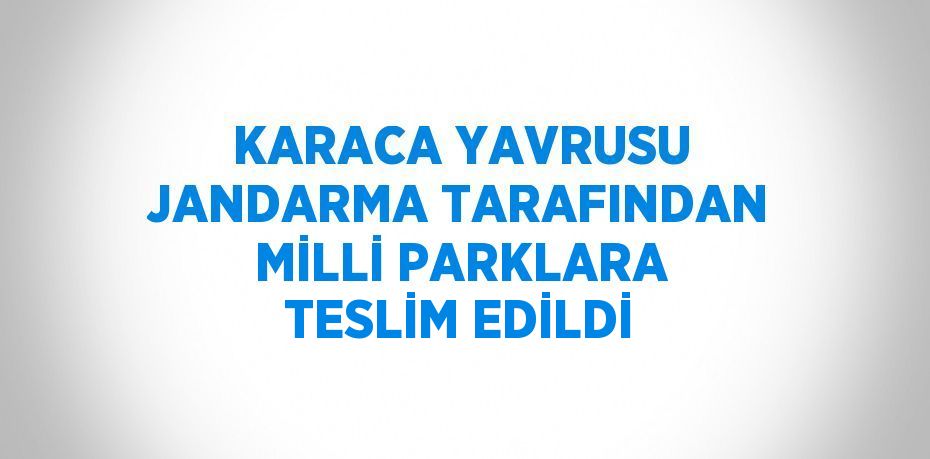 KARACA YAVRUSU JANDARMA TARAFINDAN MİLLİ PARKLARA TESLİM EDİLDİ