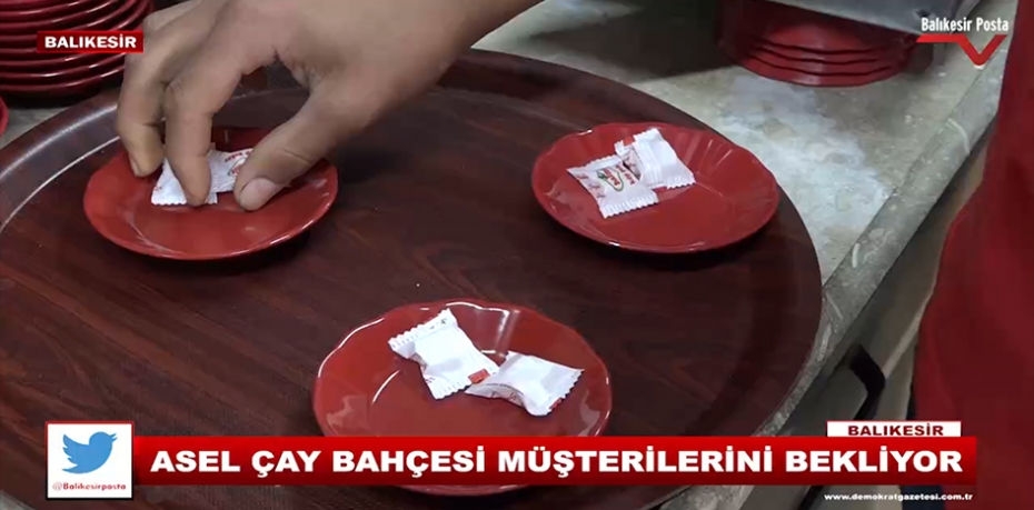 ASEL ÇAY BAHÇESİ TOYGAR MAHALLESİ ASRİ MEZARLIĞI İÇİNDE...