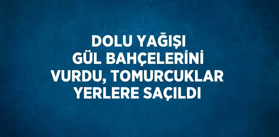 DOLU YAĞIŞI GÜL BAHÇELERİNİ VURDU, TOMURCUKLAR YERLERE SAÇILDI