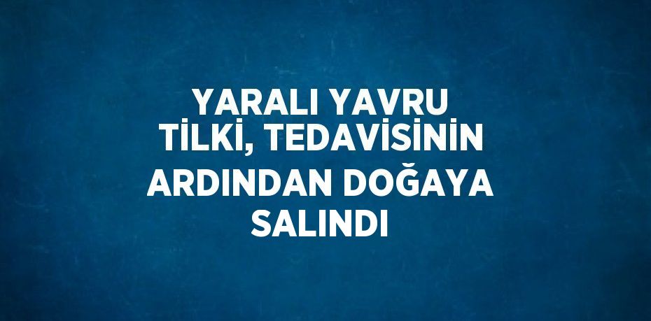 YARALI YAVRU TİLKİ, TEDAVİSİNİN ARDINDAN DOĞAYA SALINDI