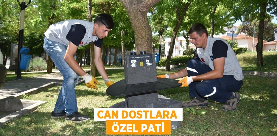 CAN DOSTLARA  ÖZEL PATİ