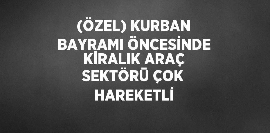 (ÖZEL) KURBAN BAYRAMI ÖNCESİNDE KİRALIK ARAÇ SEKTÖRÜ ÇOK HAREKETLİ