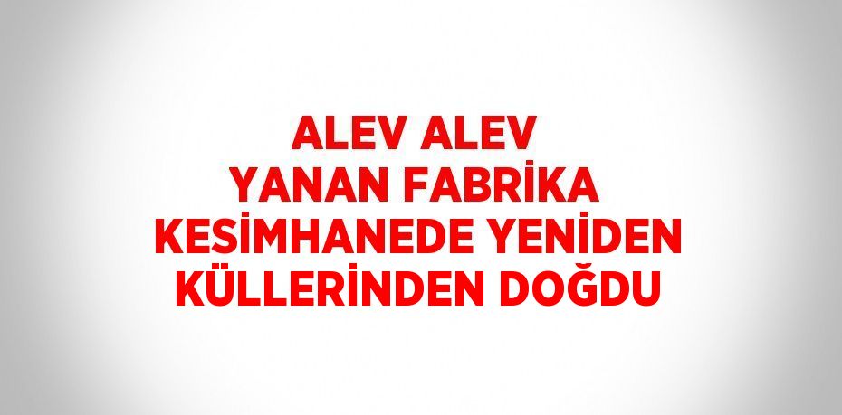 ALEV ALEV YANAN FABRİKA KESİMHANEDE YENİDEN KÜLLERİNDEN DOĞDU