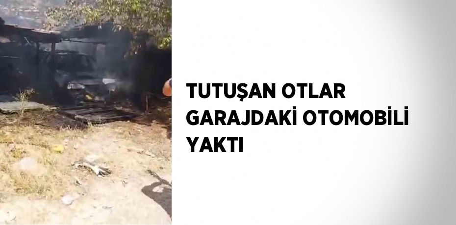 TUTUŞAN OTLAR GARAJDAKİ OTOMOBİLİ YAKTI