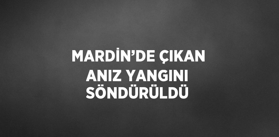 MARDİN’DE ÇIKAN ANIZ YANGINI SÖNDÜRÜLDÜ