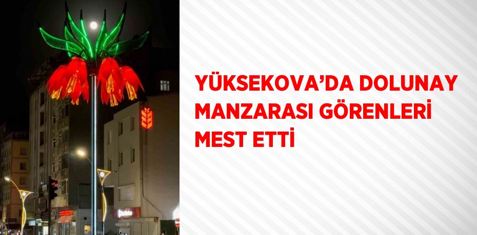 YÜKSEKOVA’DA DOLUNAY MANZARASI GÖRENLERİ MEST ETTİ