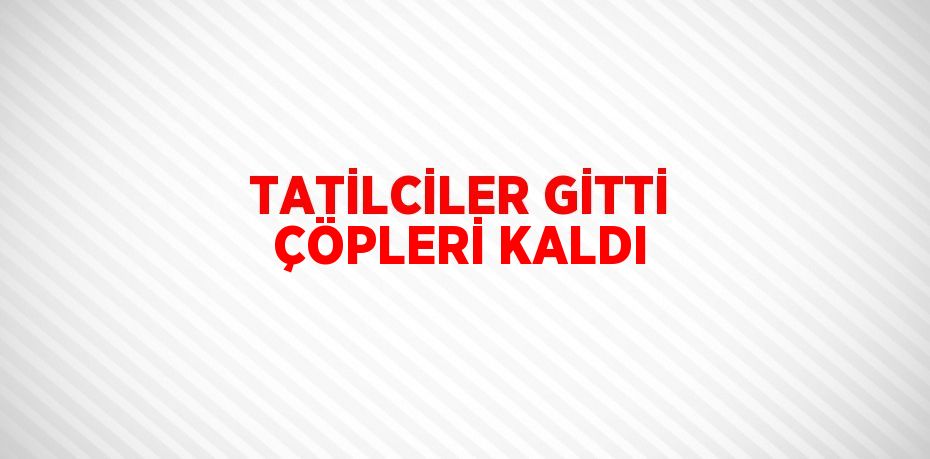 TATİLCİLER GİTTİ ÇÖPLERİ KALDI