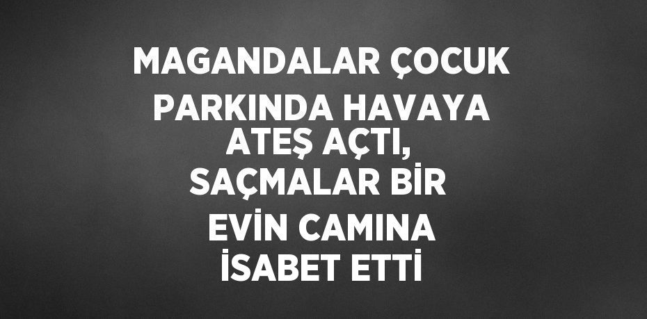 MAGANDALAR ÇOCUK PARKINDA HAVAYA ATEŞ AÇTI, SAÇMALAR BİR EVİN CAMINA İSABET ETTİ