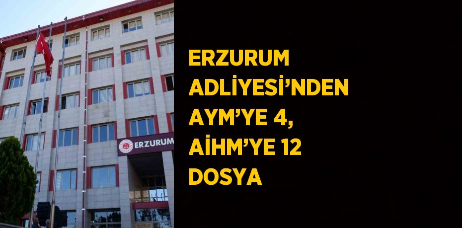 ERZURUM ADLİYESİ’NDEN AYM’YE 4, AİHM’YE 12 DOSYA