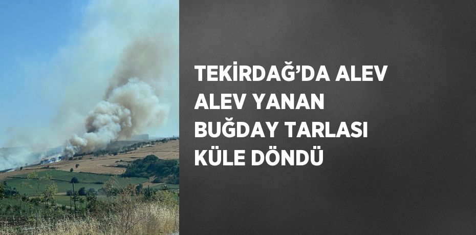 TEKİRDAĞ’DA ALEV ALEV YANAN BUĞDAY TARLASI KÜLE DÖNDÜ