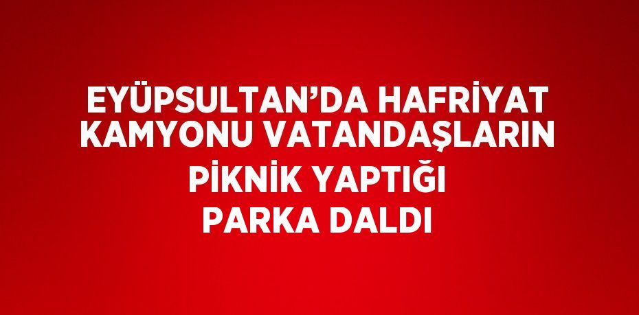 EYÜPSULTAN’DA HAFRİYAT KAMYONU VATANDAŞLARIN PİKNİK YAPTIĞI PARKA DALDI