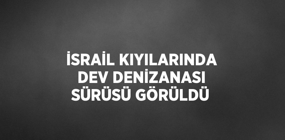 İSRAİL KIYILARINDA DEV DENİZANASI SÜRÜSÜ GÖRÜLDÜ