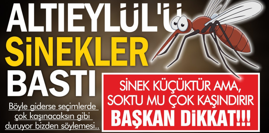 SİNEK KÜÇÜKTÜR AMA, SOKTU MU ÇOK KAŞINDIRIR BAŞKAN DİKKAT!!!