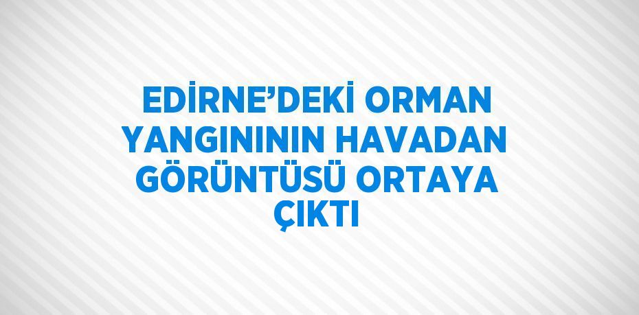 EDİRNE’DEKİ ORMAN YANGINININ HAVADAN GÖRÜNTÜSÜ ORTAYA ÇIKTI