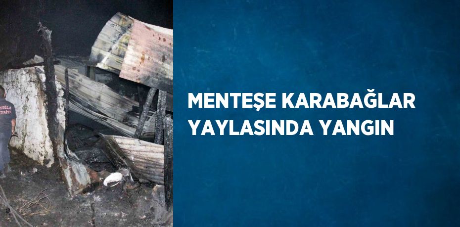 MENTEŞE KARABAĞLAR YAYLASINDA YANGIN