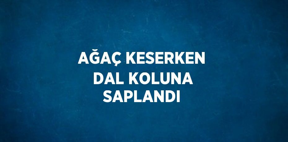 AĞAÇ KESERKEN DAL KOLUNA SAPLANDI