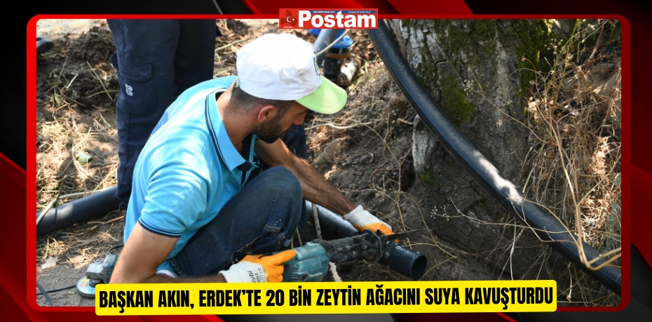 Başkan Akın, Erdek’te 20 bin zeytin ağacını suya kavuşturdu