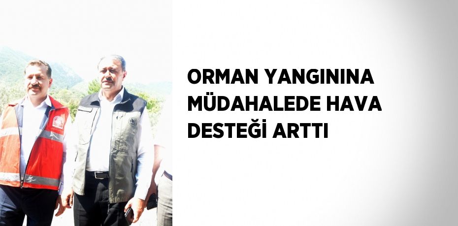 ORMAN YANGININA MÜDAHALEDE HAVA DESTEĞİ ARTTI