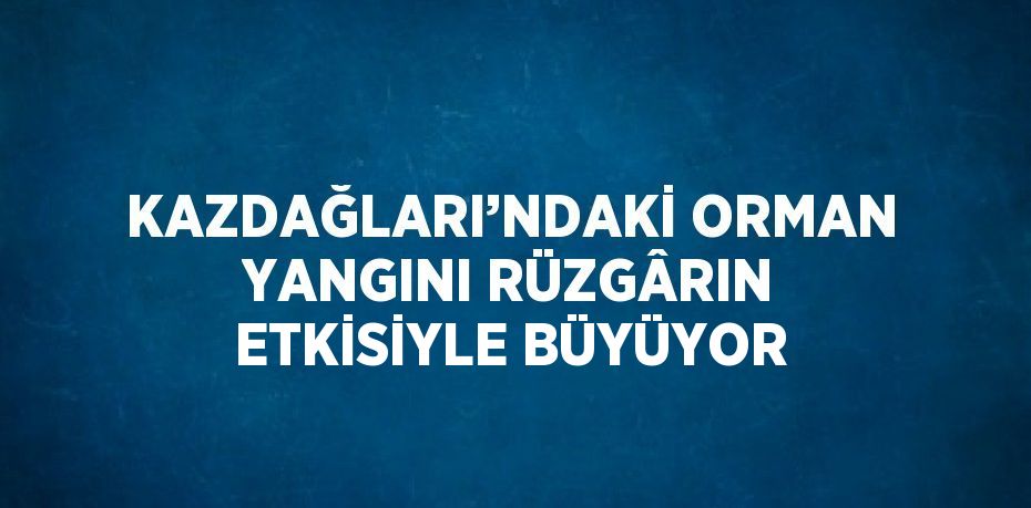 KAZDAĞLARI’NDAKİ ORMAN YANGINI RÜZGÂRIN ETKİSİYLE BÜYÜYOR