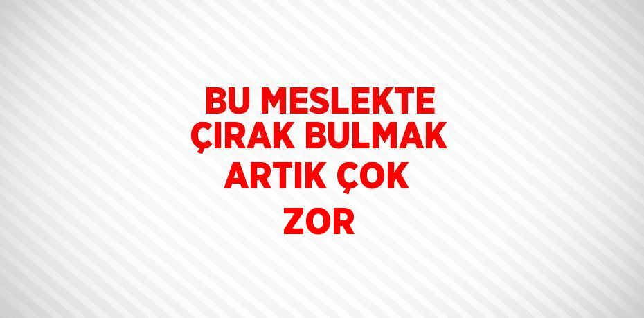 BU MESLEKTE ÇIRAK BULMAK ARTIK ÇOK ZOR