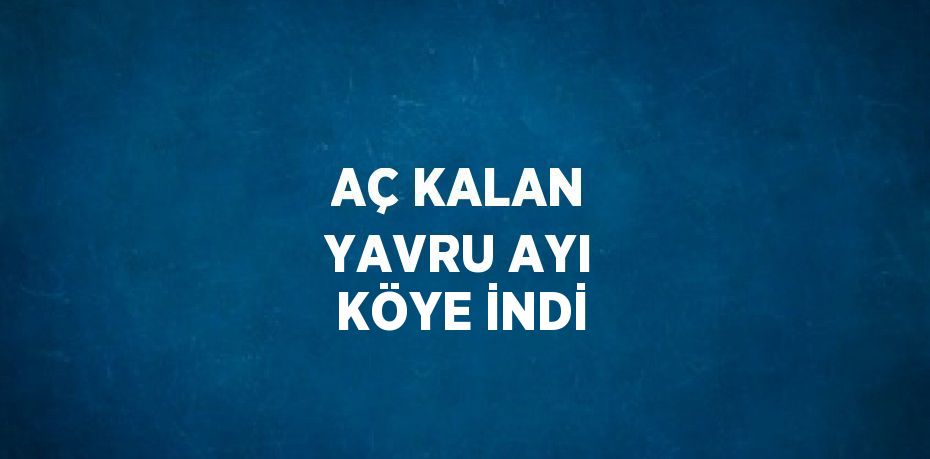 AÇ KALAN YAVRU AYI KÖYE İNDİ