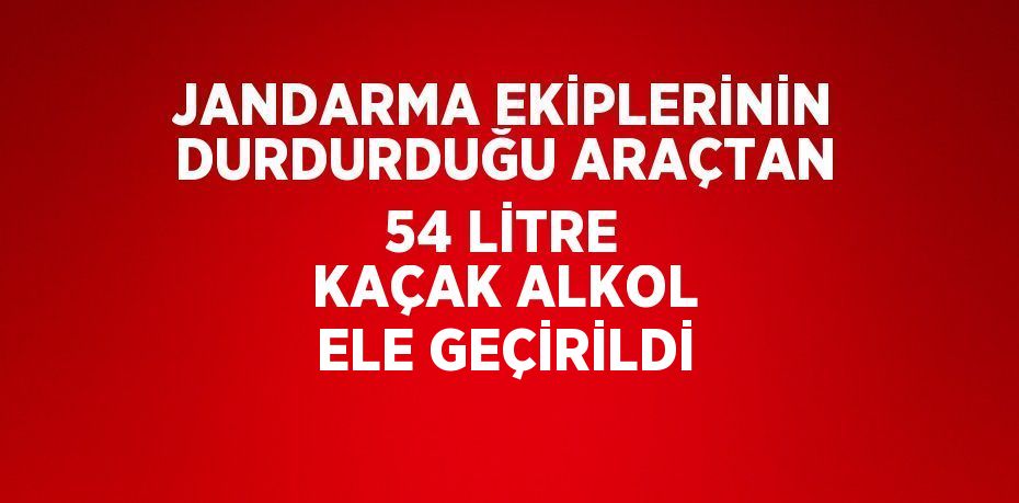 JANDARMA EKİPLERİNİN DURDURDUĞU ARAÇTAN 54 LİTRE KAÇAK ALKOL ELE GEÇİRİLDİ