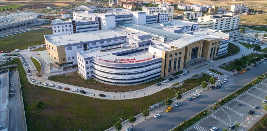 Hitit Üniversitesi Öğretim Üyesi alacak