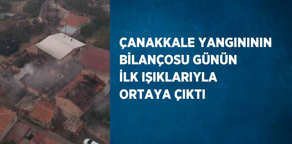 ÇANAKKALE YANGINININ BİLANÇOSU GÜNÜN İLK IŞIKLARIYLA ORTAYA ÇIKTI