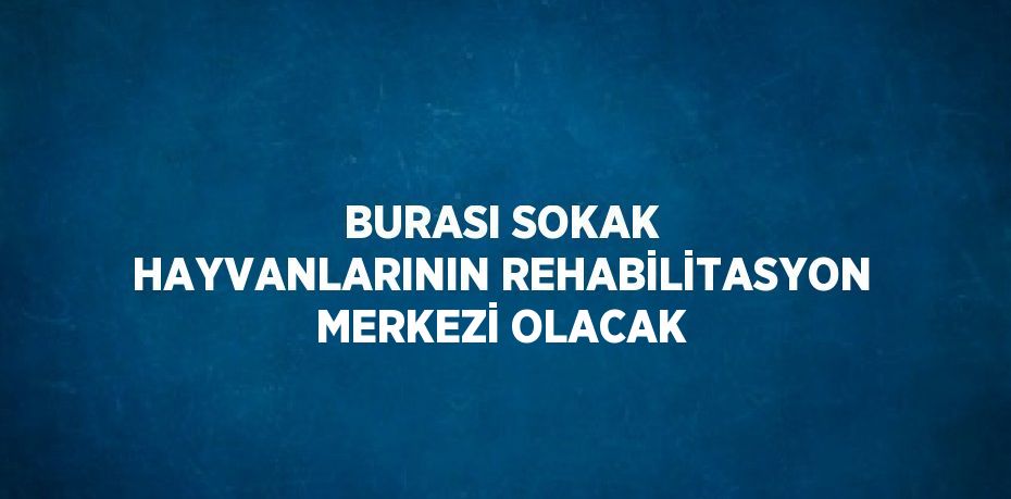 BURASI SOKAK HAYVANLARININ REHABİLİTASYON MERKEZİ OLACAK