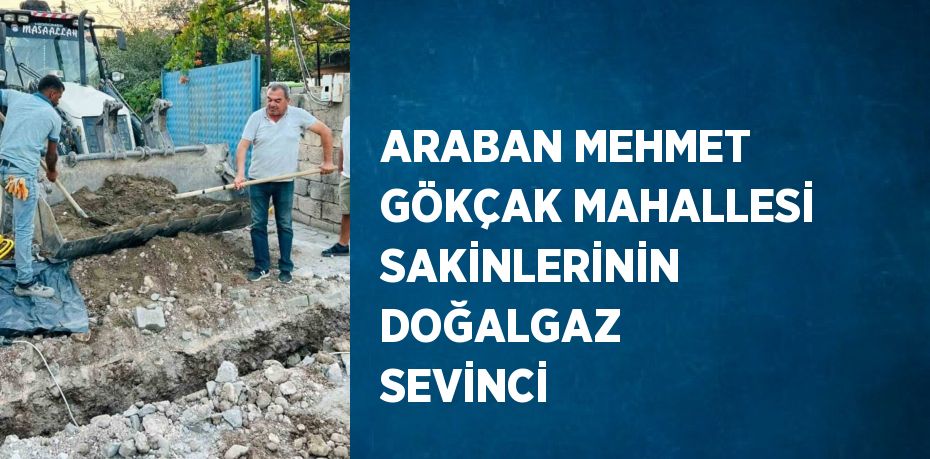 ARABAN MEHMET GÖKÇAK MAHALLESİ SAKİNLERİNİN DOĞALGAZ SEVİNCİ