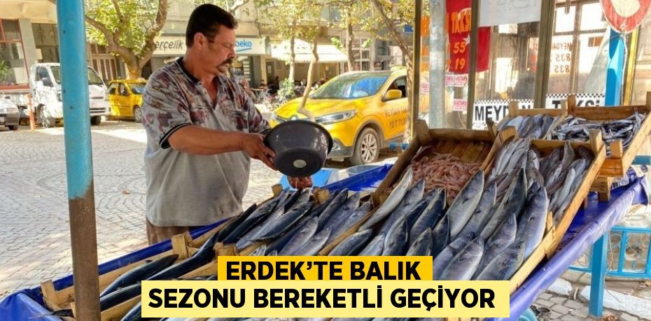 ERDEK’TE BALIK SEZONU BEREKETLİ GEÇİYOR