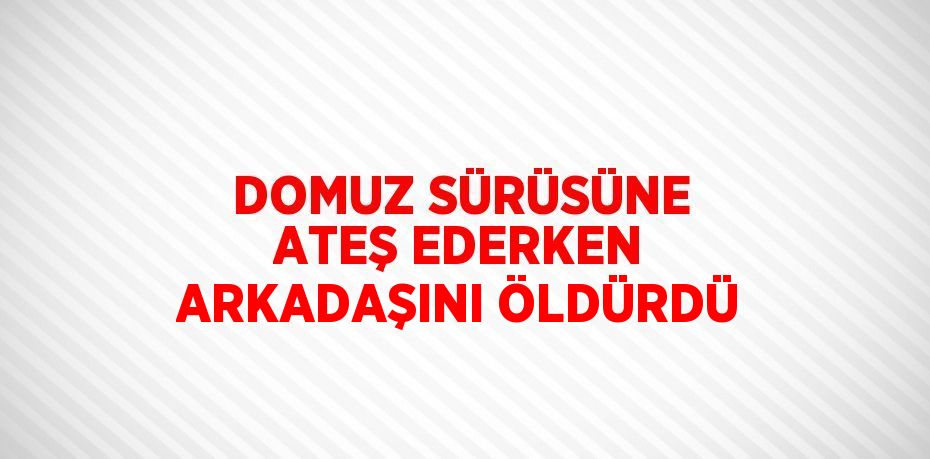 DOMUZ SÜRÜSÜNE ATEŞ EDERKEN ARKADAŞINI ÖLDÜRDÜ