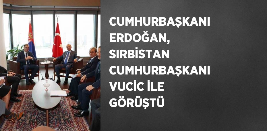 CUMHURBAŞKANI ERDOĞAN, SIRBİSTAN CUMHURBAŞKANI VUCİC İLE GÖRÜŞTÜ