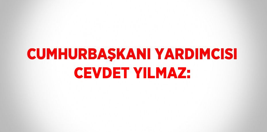 CUMHURBAŞKANI YARDIMCISI CEVDET YILMAZ: