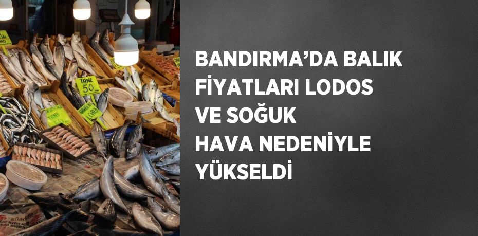 BANDIRMA’DA BALIK FİYATLARI LODOS VE SOĞUK HAVA NEDENİYLE YÜKSELDİ