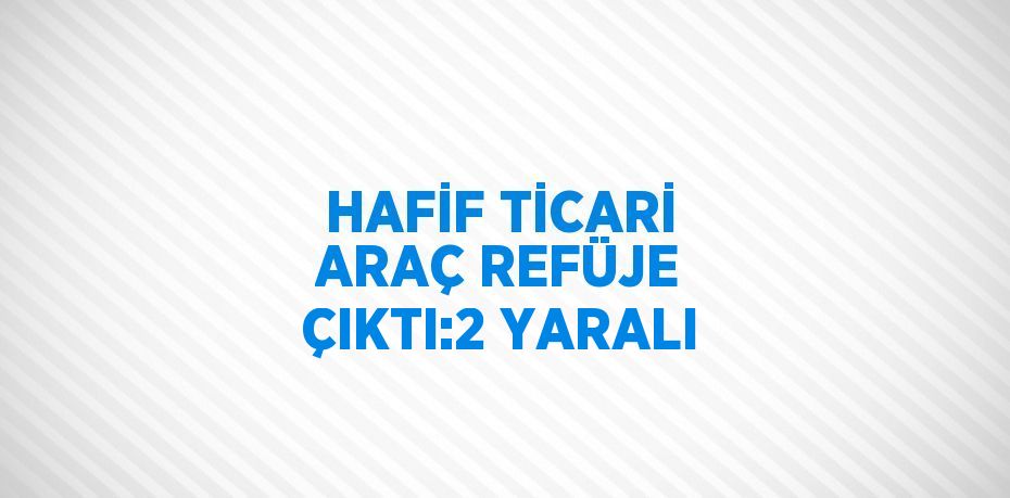 HAFİF TİCARİ ARAÇ REFÜJE ÇIKTI:2 YARALI