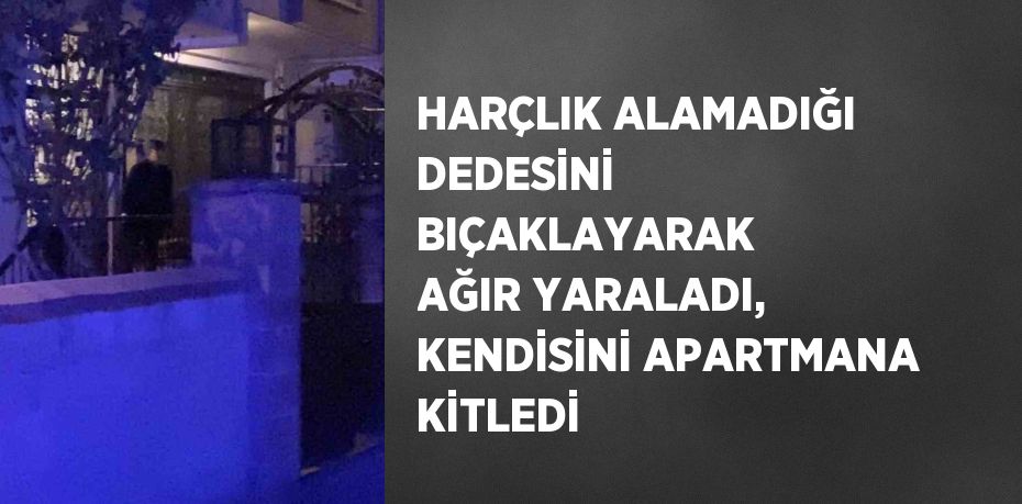 HARÇLIK ALAMADIĞI DEDESİNİ BIÇAKLAYARAK AĞIR YARALADI, KENDİSİNİ APARTMANA KİTLEDİ