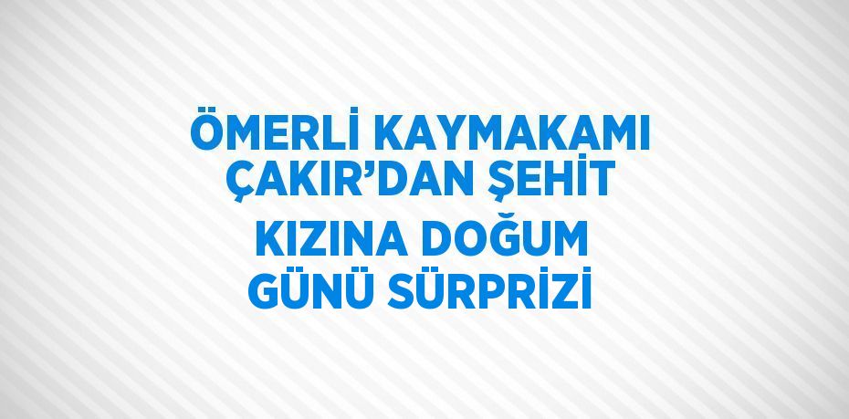 ÖMERLİ KAYMAKAMI ÇAKIR’DAN ŞEHİT KIZINA DOĞUM GÜNÜ SÜRPRİZİ