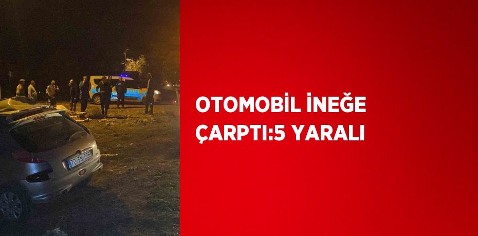 OTOMOBİL İNEĞE ÇARPTI:5 YARALI