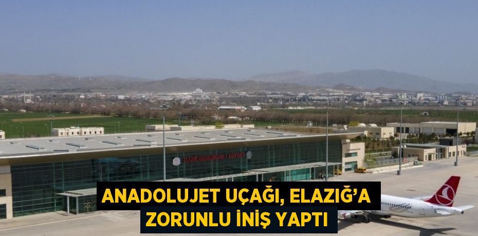 ANADOLUJET UÇAĞI, ELAZIĞ’A ZORUNLU İNİŞ YAPTI