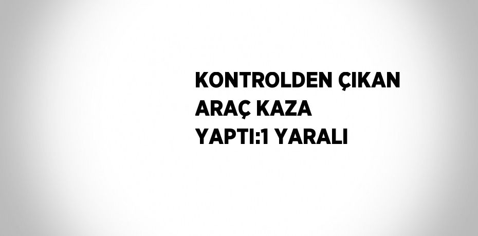 KONTROLDEN ÇIKAN ARAÇ KAZA YAPTI:1 YARALI