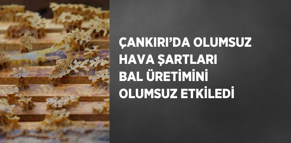 ÇANKIRI’DA OLUMSUZ HAVA ŞARTLARI BAL ÜRETİMİNİ OLUMSUZ ETKİLEDİ