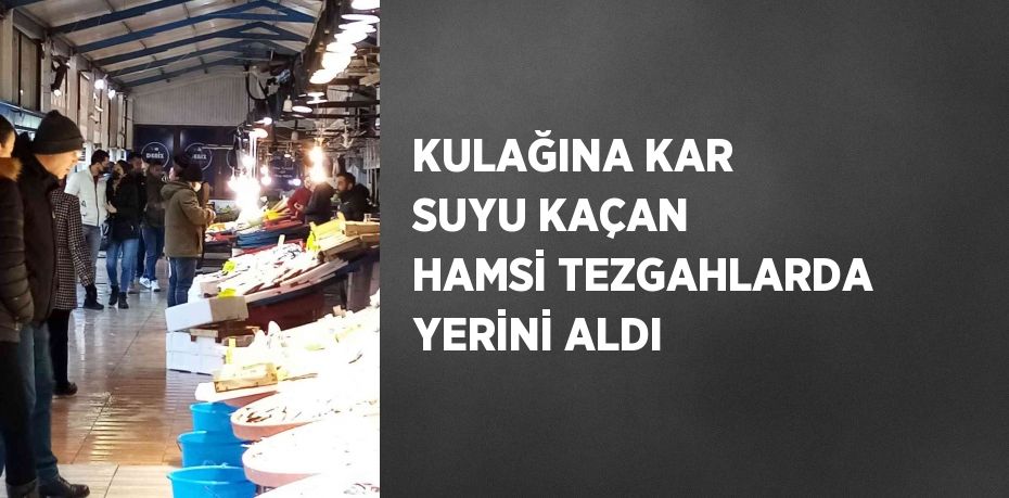 KULAĞINA KAR SUYU KAÇAN HAMSİ TEZGAHLARDA YERİNİ ALDI