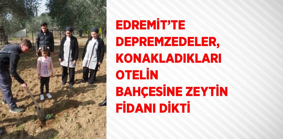 EDREMİT’TE DEPREMZEDELER, KONAKLADIKLARI OTELİN BAHÇESİNE ZEYTİN FİDANI DİKTİ