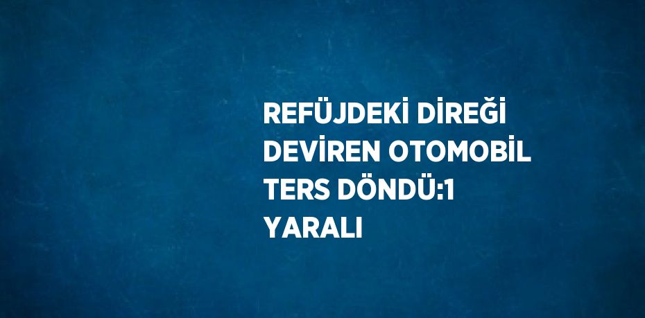 REFÜJDEKİ DİREĞİ DEVİREN OTOMOBİL TERS DÖNDÜ:1 YARALI